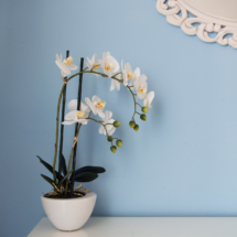 12_room_detail_florencerooftop